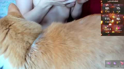 diana fansly petitemuse online show from March 2, 11:39 pm