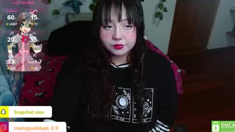 Snapshot of pink_cacti chatting on February 23, 4:55 am Lore online show from February 23, 4:55 am