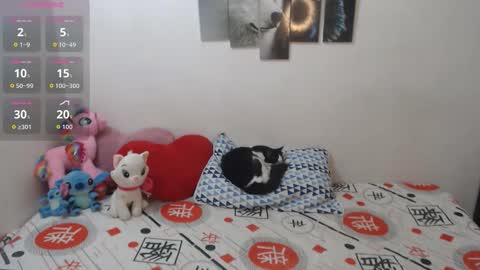 Pocahontas online show from November 7, 2:44 pm