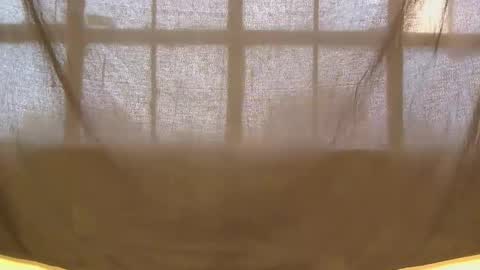 lynn online show from April 23, 12:01 pm