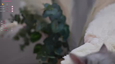 Snapshot of pretty_princess_elina chatting on March 11, 7:03 pm Elina online show from March 11, 7:03 pm