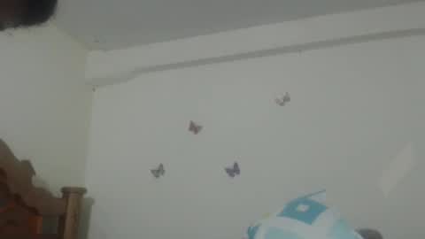 Rose online show from February 24, 6:47 am