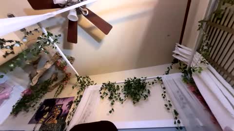 prettyblackgal online show from November 27, 7:44 am