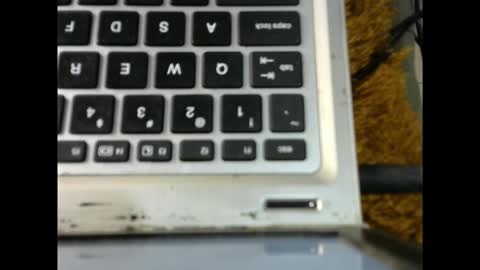 evelyn online show from September 16, 6:38 pm