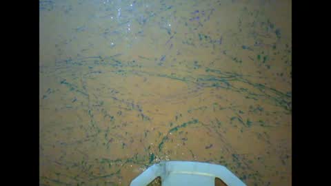 prettyxxpac online show from April 13, 2:13 am