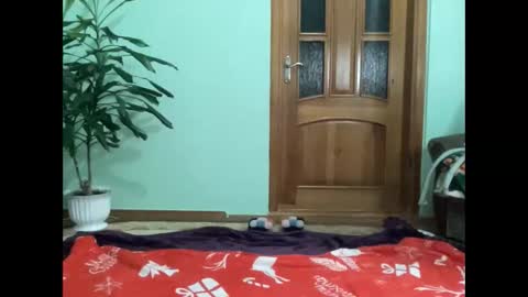 proud sweet 21 online show from February 16, 12:32 am