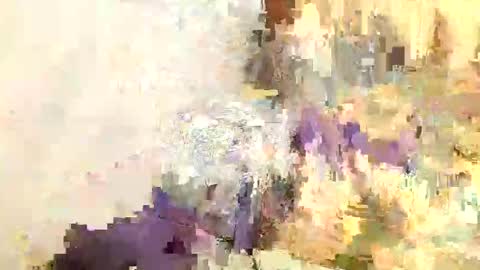 Snapshot of punkl0v3 chatting on October 31, 7:07 pm Sisi online show from October 31, 7:07 pm