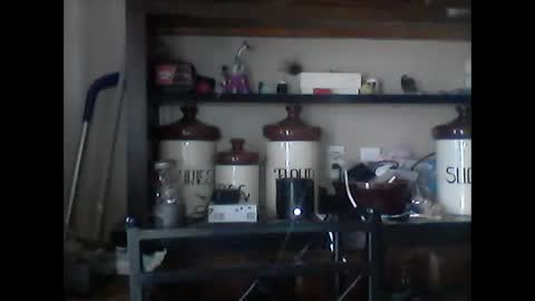 purrrfect_pussy24 online show from January 9, 6:01 pm