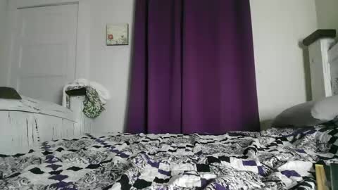 quartrwhorse online show from September 30, 11:31 pm