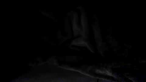 quincy joy11 online show from March 2, 7:15 am