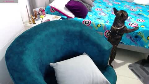 raysajoness online show from March 8, 1:35 am