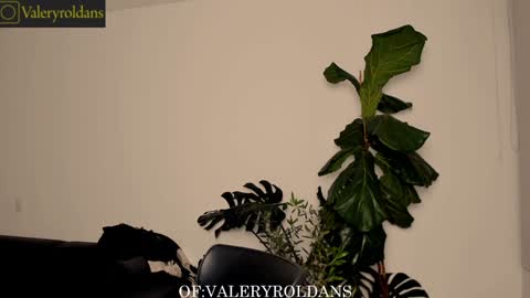 Valery Roldans online show from February 4, 3:44 am