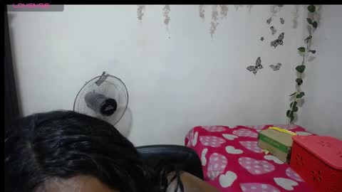 Snapshot of roos_veyker chatting on January 20, 1:11 pm roos_veyker online show from January 20, 1:11 pm