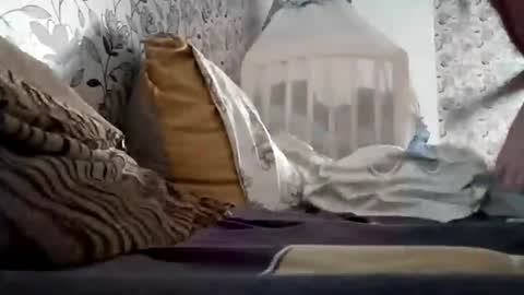 Alicia online show from October 22, 9:58 am