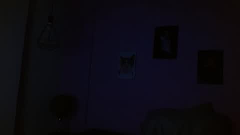 salome ferrari online show from March 8, 2:04 am