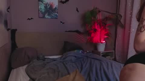 salt_mira online show from November 2, 12:30 pm