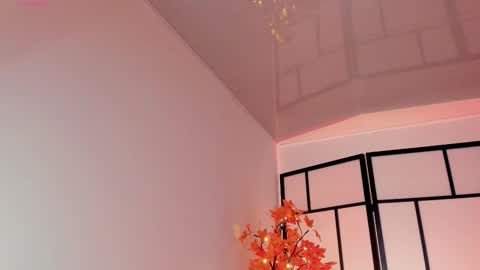 Sam online show from October 29, 1:15 pm