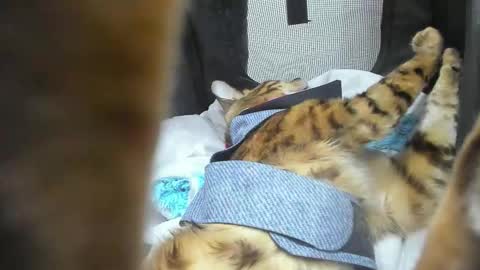 Fernanda online show from October 23, 7:42 pm