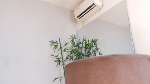 SAM  online show from April 25, 1:41 pm