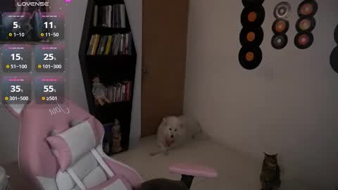 Snapshot of saucy_jenn1 chatting on September 16, 4:53 am I AM JENN online show from September 16, 4:53 am