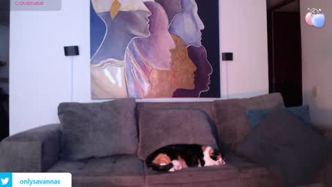 Savannaredhair 33 Angelebony33 online show from March 1, 11:37 pm