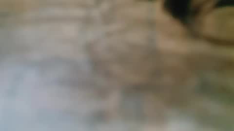 savvvmmm online show from October 21, 2:37 am