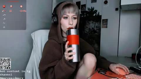 Snapshot of say_mary chatting on September 25, 1:15 am pronoun she. name Mary. age 21. online show from September 25, 1:15 am