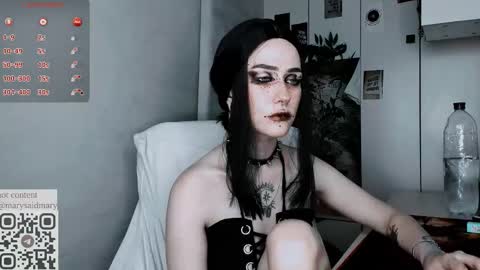 Snapshot of say_mary chatting on September 10, 12:43 am pronoun she. name Mary. age 21. online show from September 10, 12:43 am