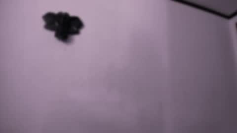 Scarlett online show from March 12, 4:31 pm