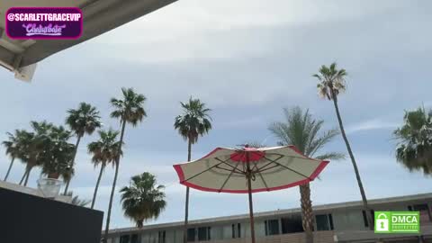 scarlettgracevip online show from April 22, 8:39 pm