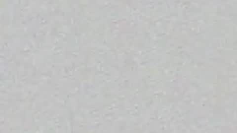 schelldo online show from May 31, 2:50 am