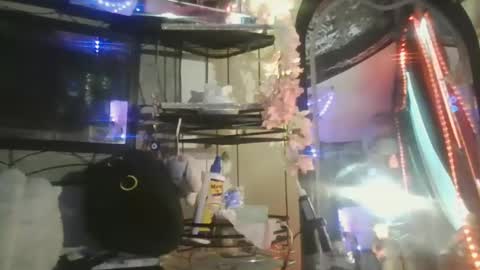 sequoia8888 online show from October 29, 7:27 pm