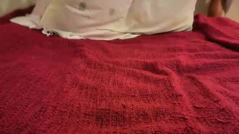 Sexiest labia evers online show from October 27, 9:27 am