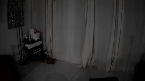 sexilexi69xxx online show from February 11, 2:47 am