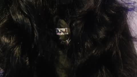 Snapshot of sexy_impact chatting on January 15, 3:33 am    online show from January 15, 3:33 am