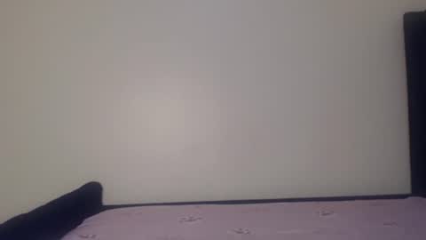 Shadow online show from October 13, 11:13 am