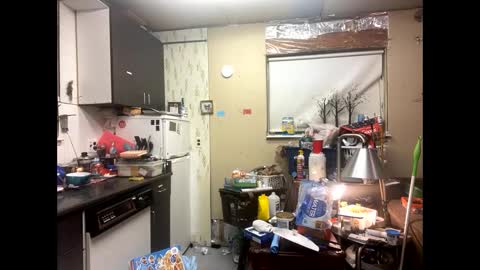 Shelby holes online show from December 9, 8:00 am