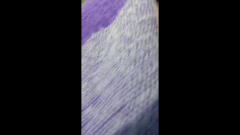 Aurora Wolfe  Shy College Girl  Top 16 of all OF Creators online show from December 19, 11:08 pm