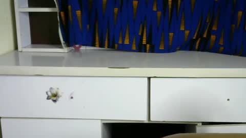 sluttx_choco online show from April 18, 7:07 pm