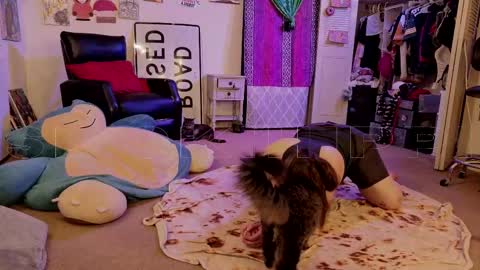 Big Dawg online show from October 5, 3:33 am