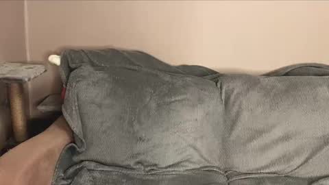 snowy_alice online show from November 12, 12:47 pm