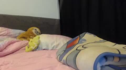 sofi online show from January 5, 2:06 am