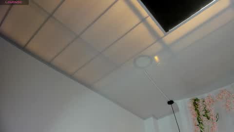 Sofia  online show from January 16, 6:59 pm