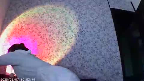 Sophie and my bestie Mandy    online show from March 6, 11:47 am