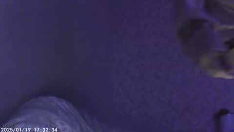 Sophie and my bestie Mandy    online show from January 18, 7:15 pm