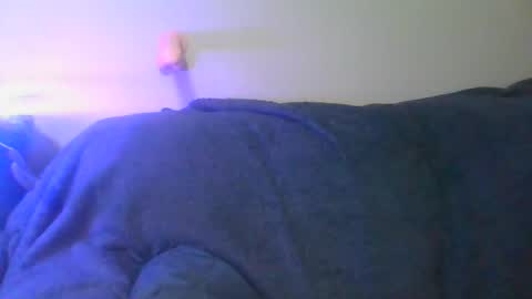 Scottietee online show from April 11, 7:45 am