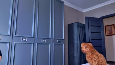 Nicole online show from April 23, 7:38 am