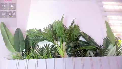 Stephany  online show from July 28, 7:39 pm