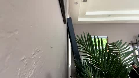 Ruby Moon online show from December 11, 5:58 pm