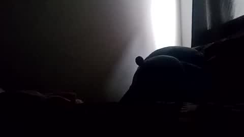 Annie online show from April 28, 8:02 pm